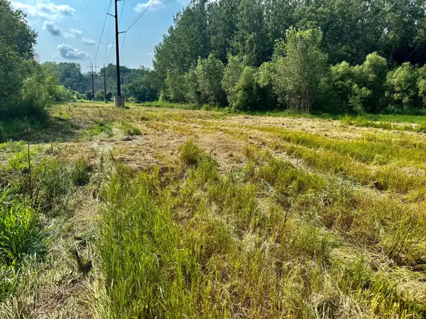 TBD Grove ST, Le Sueur, MN 56058