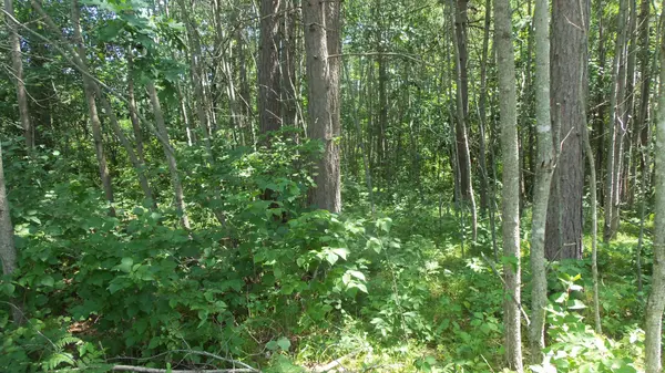 Lot 6 Birch Tree Trl, Spooner, WI 54801