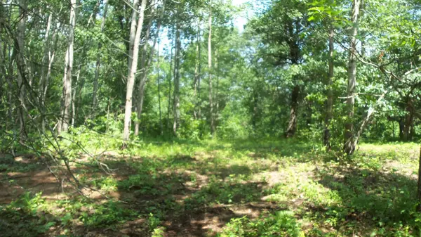 Lot 6 Birch Tree Trl, Spooner, WI 54801