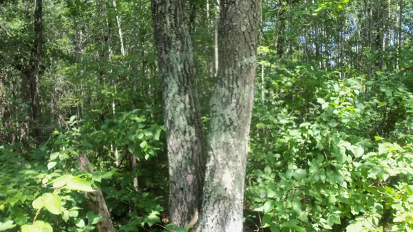 Lot 7 Birch Tree Trl, Spooner, WI 54801