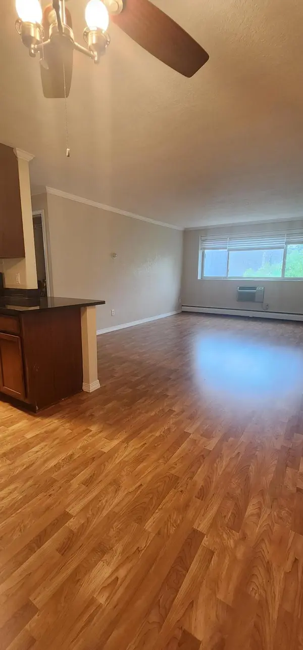 3120 Hennepin AVE #306, Minneapolis, MN 55408