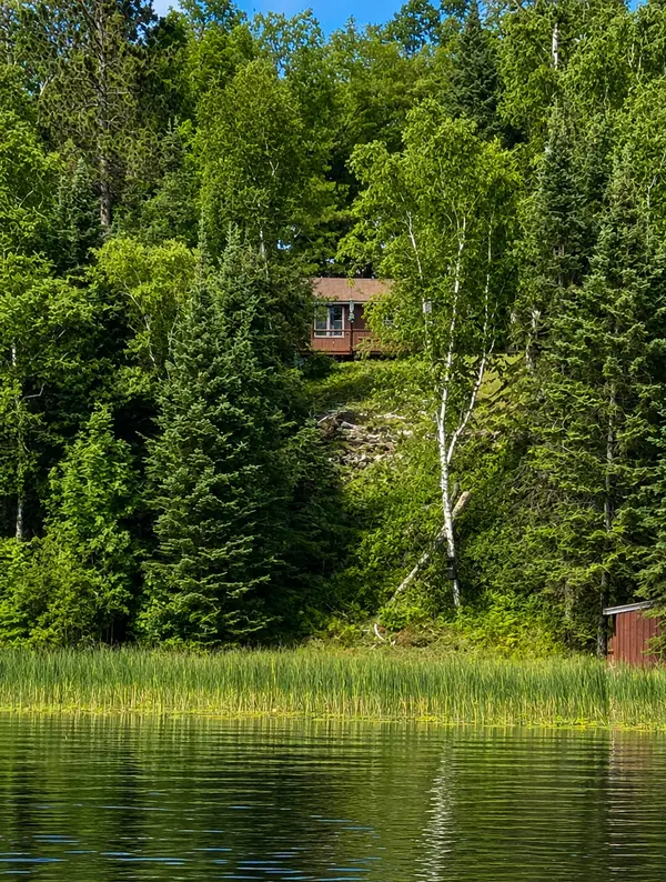 37800 Grave Lake Forest RD, Deer River, MN 56636