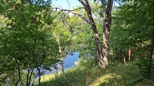 38869 Odin CT, Browerville, MN 56438