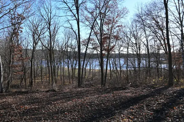 TBD51 Ottawa DR, Browerville, MN 56438