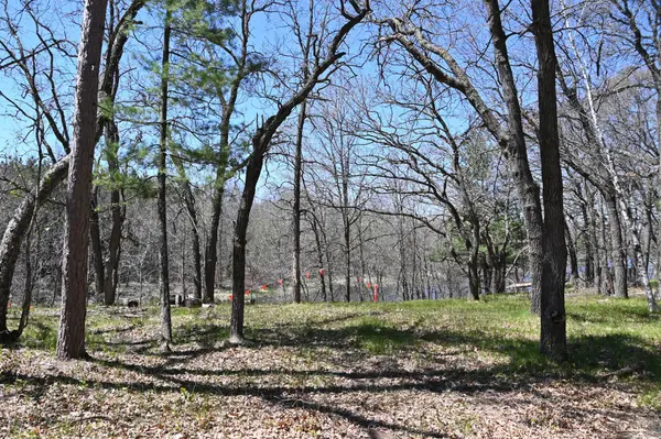 38903 Odin CT, Browerville, MN 56438