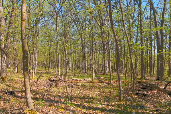 TBD 392 ST, Fawn Lake Twp, MN 56438