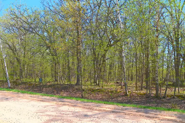 TBD 392 ST, Fawn Lake Twp, MN 56438