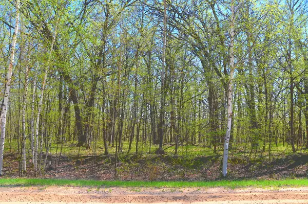 TBD 392 ST, Fawn Lake Twp, MN 56438