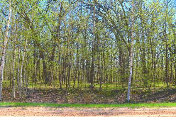 TBD 392 ST, Fawn Lake Twp, MN 56438