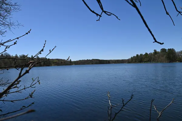 40039 County Rd 17, Browerville, MN 56438