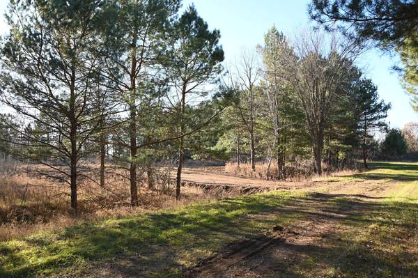 28969 Pequot CT, Browerville, MN 56438