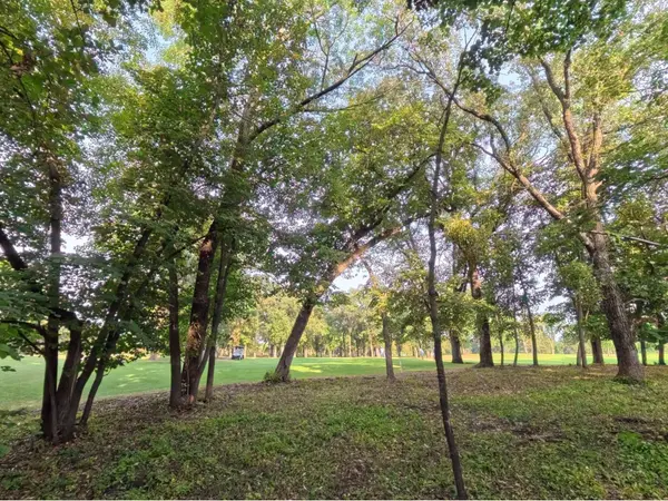 Lot 4 S Le Homme Dieu DR NE, Alexandria, MN 56308