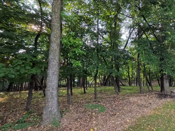 Lot 4 S Le Homme Dieu DR NE, Alexandria, MN 56308