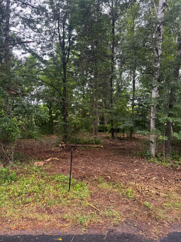 TBD W Bone Lake Dr, Milltown, WI 54858