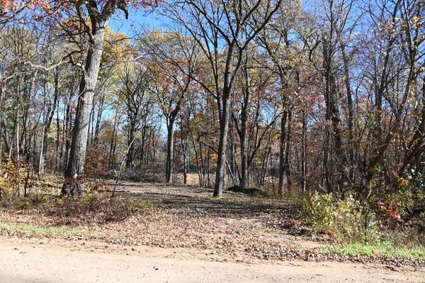 39884 Pine Island Pt DR, Browerville, MN 56438