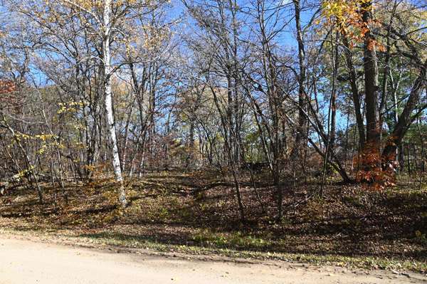 39906 Pine Island Pt DR, Browerville, MN 56438