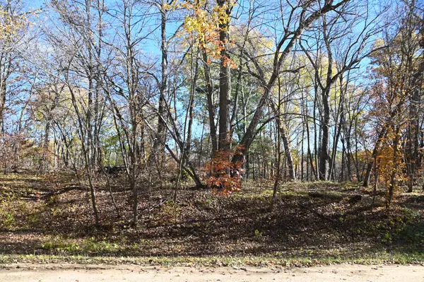 39906 Pine Island Pt DR, Browerville, MN 56438