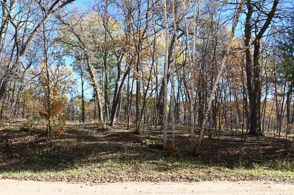 39906 Pine Island Pt DR, Browerville, MN 56438