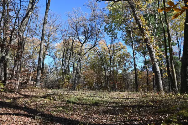 39906 Pine Island Pt DR, Browerville, MN 56438
