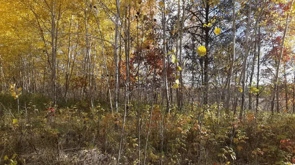 39904 Oriole CT, Browerville, MN 56438