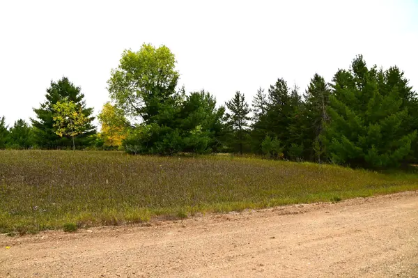 TBD Oak DR, Browerville, MN 56438