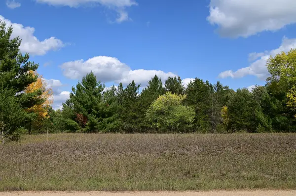 TBD Oak DR, Browerville, MN 56438