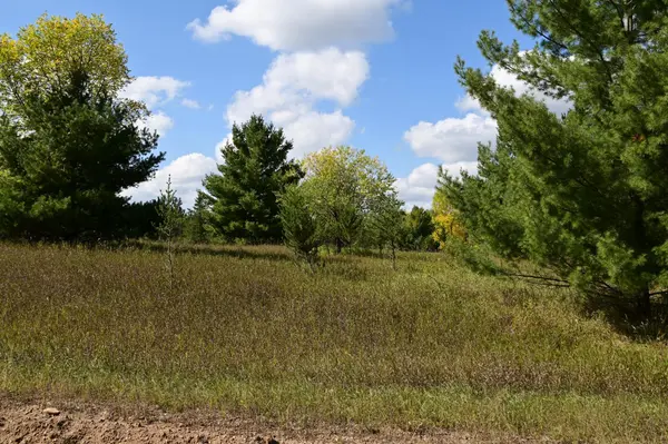TBD Oak DR, Browerville, MN 56438