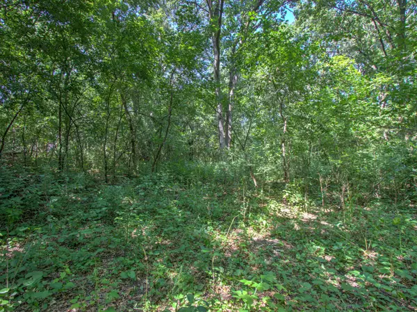 TBD Sodium ST NW, Ramsey, MN 55303
