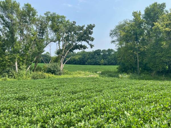 TBD Dodd RD, Kilkenny, MN 56057