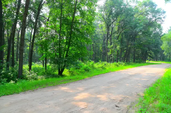 38970 Odin CT, Browerville, MN 56438