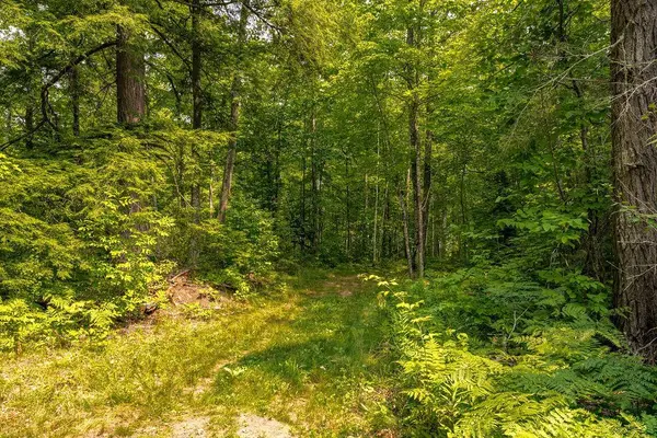 85685 EightPoint LN, Bayfield, WI 54814