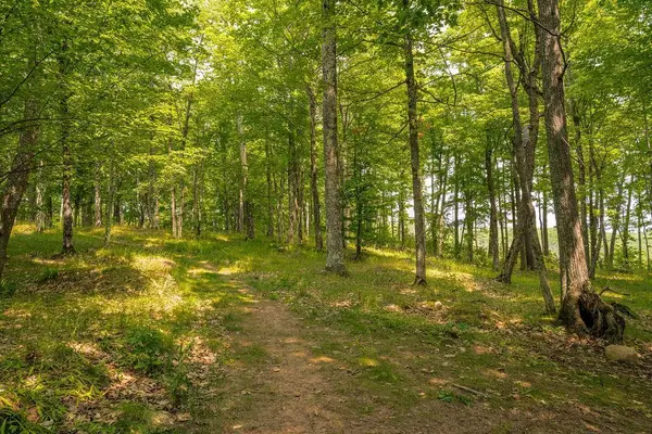 85685 EightPoint LN, Bayfield, WI 54814