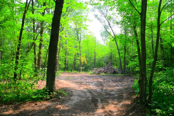 27537 Ode CIR, Browerville, MN 56438