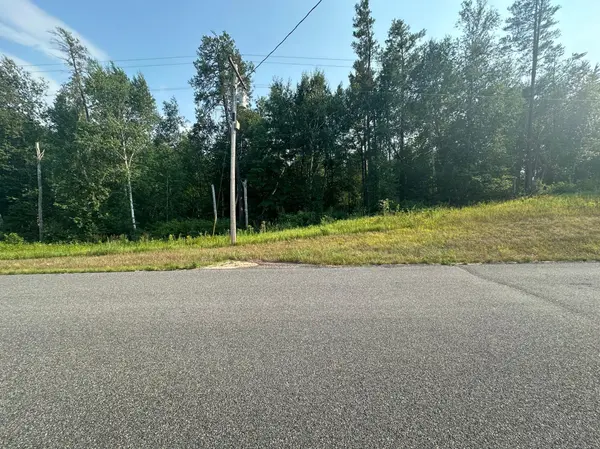 TBD Ski Chalet Dr, Breezy Point, MN 56472