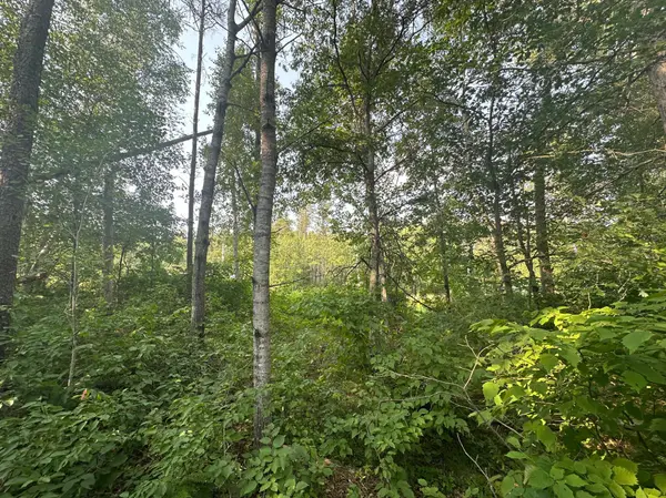 TBD Ski Chalet Dr, Breezy Point, MN 56472