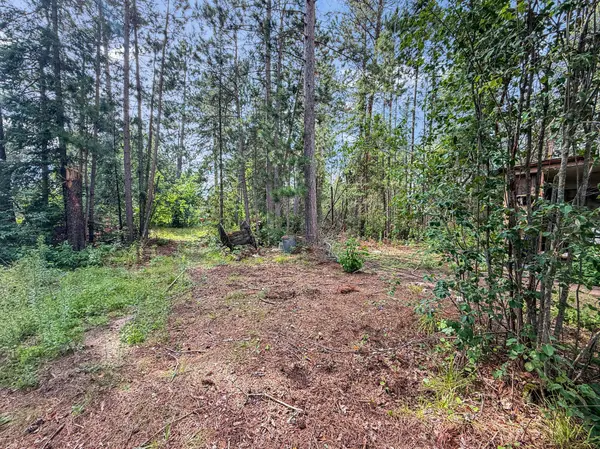 1222 Balsam RD NW, Bemidji, MN 56601