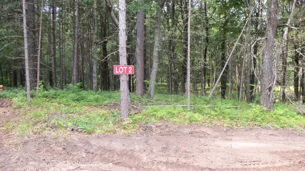 Lot 2 Birch Tree Trl, Spooner, WI 54801