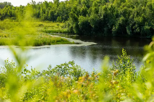 0000 State Highway 27 0000, Exeland, WI 54843