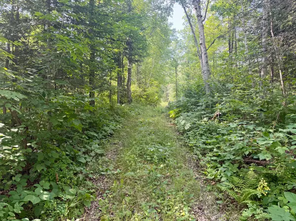 22751 County Road 1, Emily, MN 56447