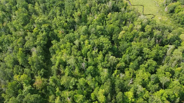 22751 County Road 1, Emily, MN 56447