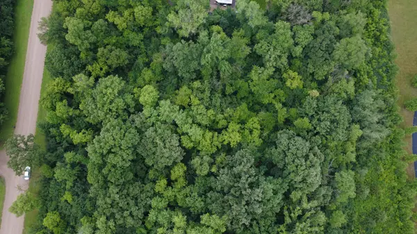 TBD Elderberry CT, Glencoe, MN 55336