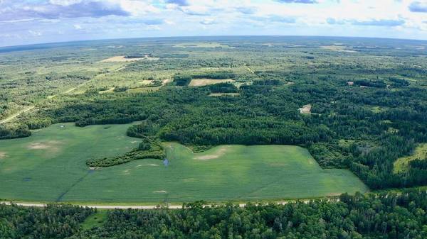 _ County Road 19, Roseau, MN 56751