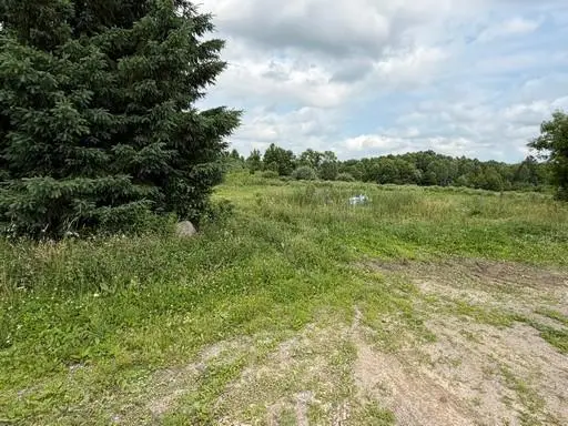 16660 80th ST, Oak Park, MN 56357