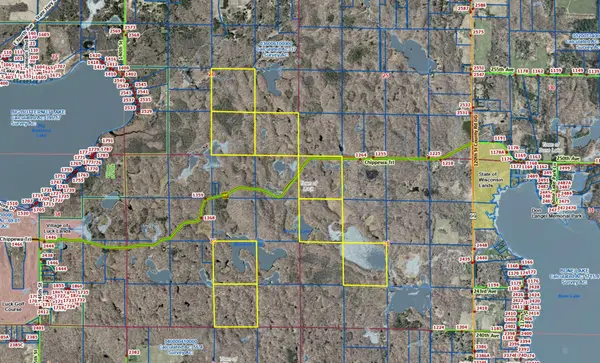 TBD Chippewa TRL, Luck, WI 54853
