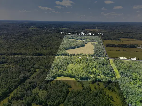 12502 TBD Van Horn RD, Floodwood, MN 55736