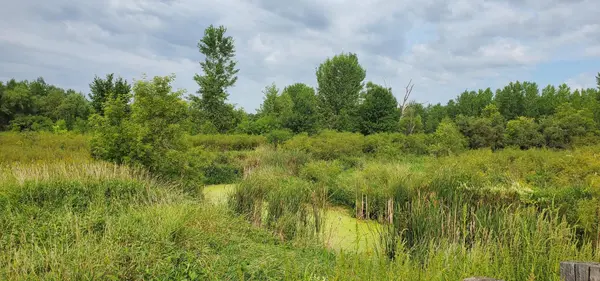 XXX County Road 37, Maynard, MN 56260