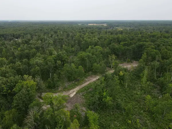 TBD 452nd ST, Solway, MN 56678