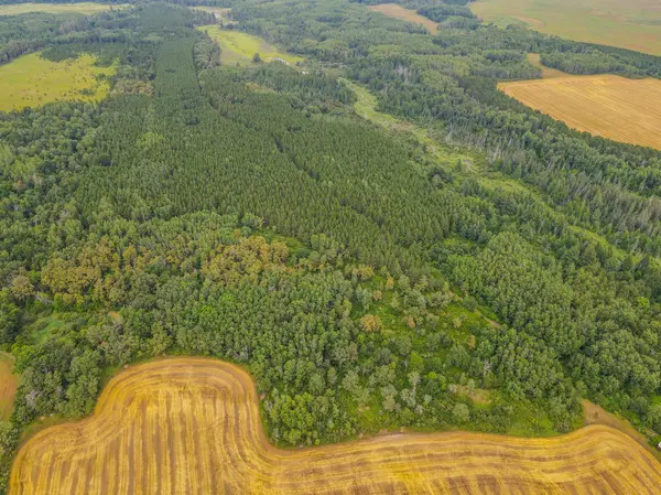 TBD 285th Street, Osage, MN 56570