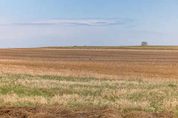 Tbd Sec 24 2 Ave Se Lot 1, North Lemmon, ND 58639
