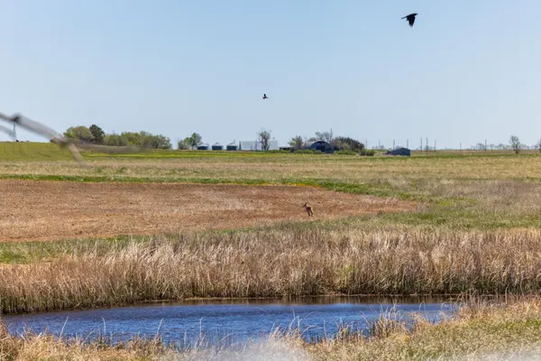 Tbd Sec 24 2 Ave Se Lot 1, North Lemmon, ND 58639